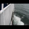 IMG_6539
3/21/2007 1:46:30 PM